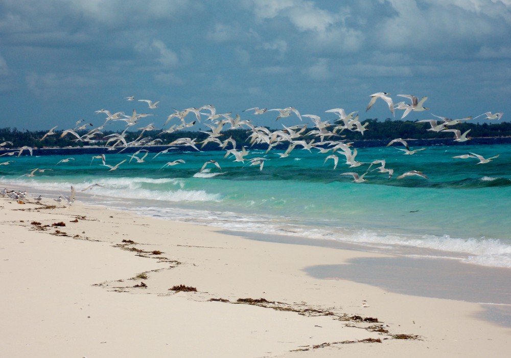 Nakupenda Beach