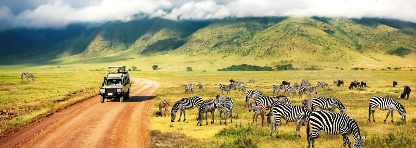 Explora Tanzania: Safaris Únicos con Kipama African Safaris